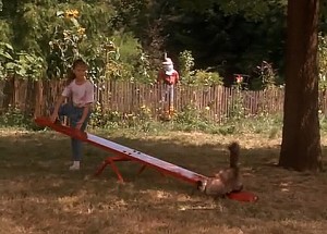 HomewardBound Screenshot from Homeward Bound